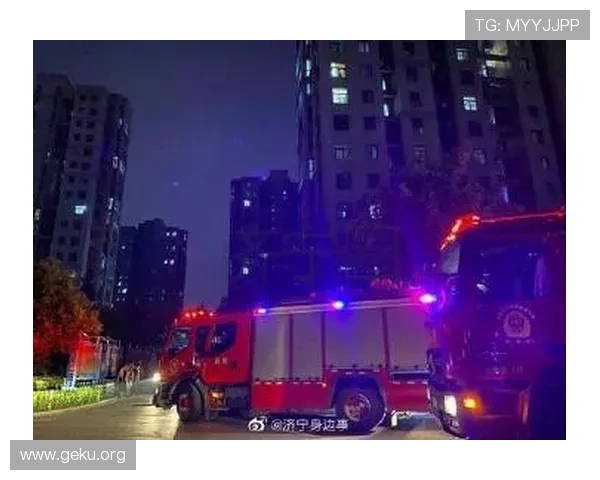 半岛网站最新游戏资讯全面解析满足玩家多样化需求